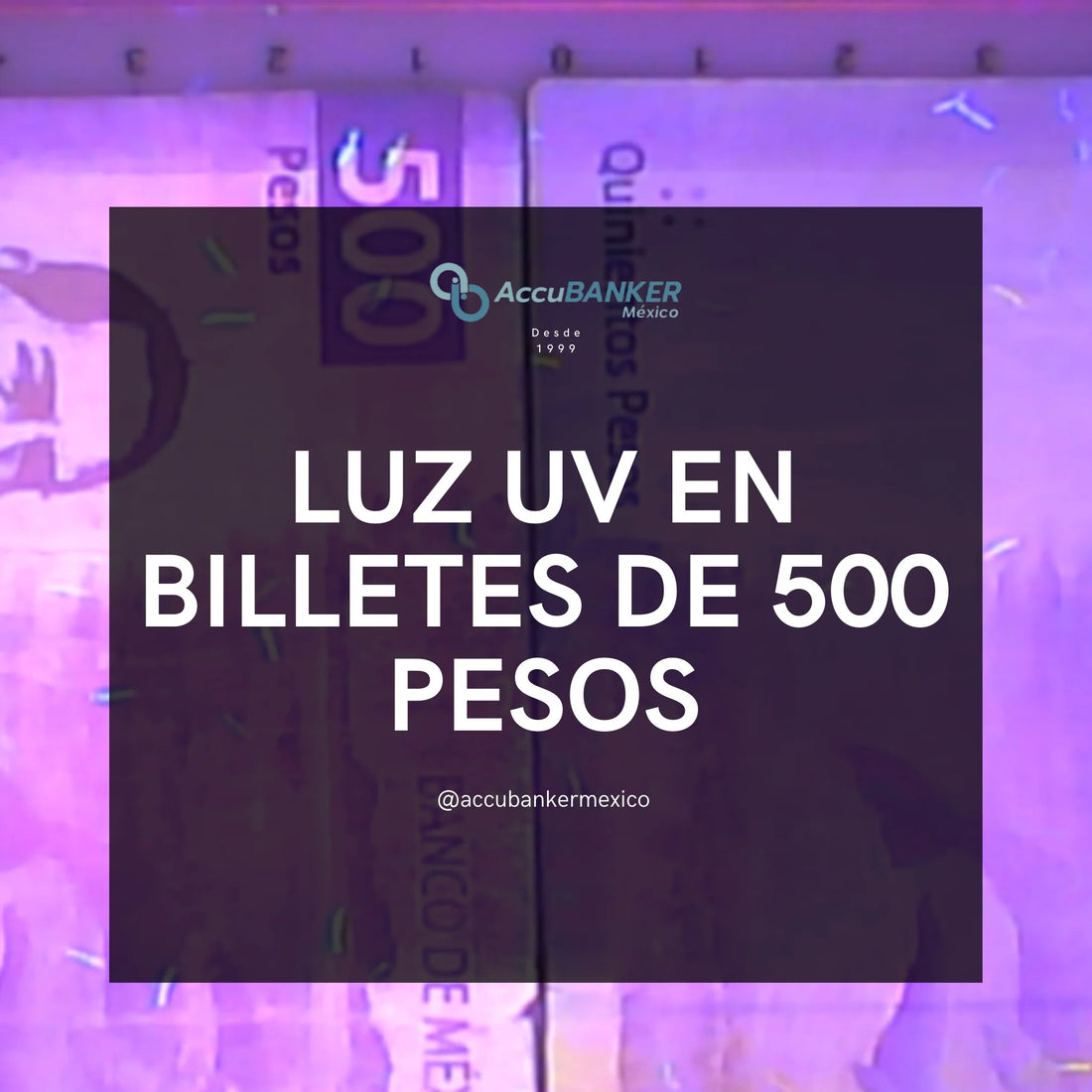 Luz ultravioleta en los billetes de 500 pesos.webp Luz ultravioleta en los billetes de 500 pesos