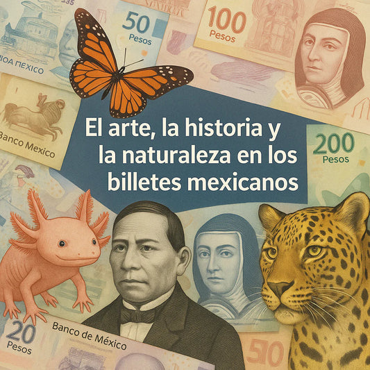 El arte, la historia y la naturaleza en los billetes mexicanos.webp el arte la historia y la naturaleza en los billetes mexicanos