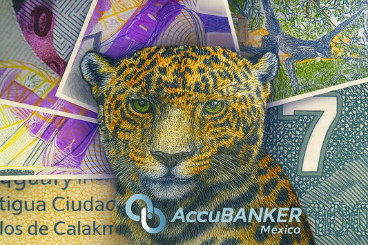 ¿Billete de Leopardo o Billete de Jaguar en México? Billete de 1000 México.webp ¿Billete de Leopardo o Billete de Jaguar en México? Billete de 1000 México