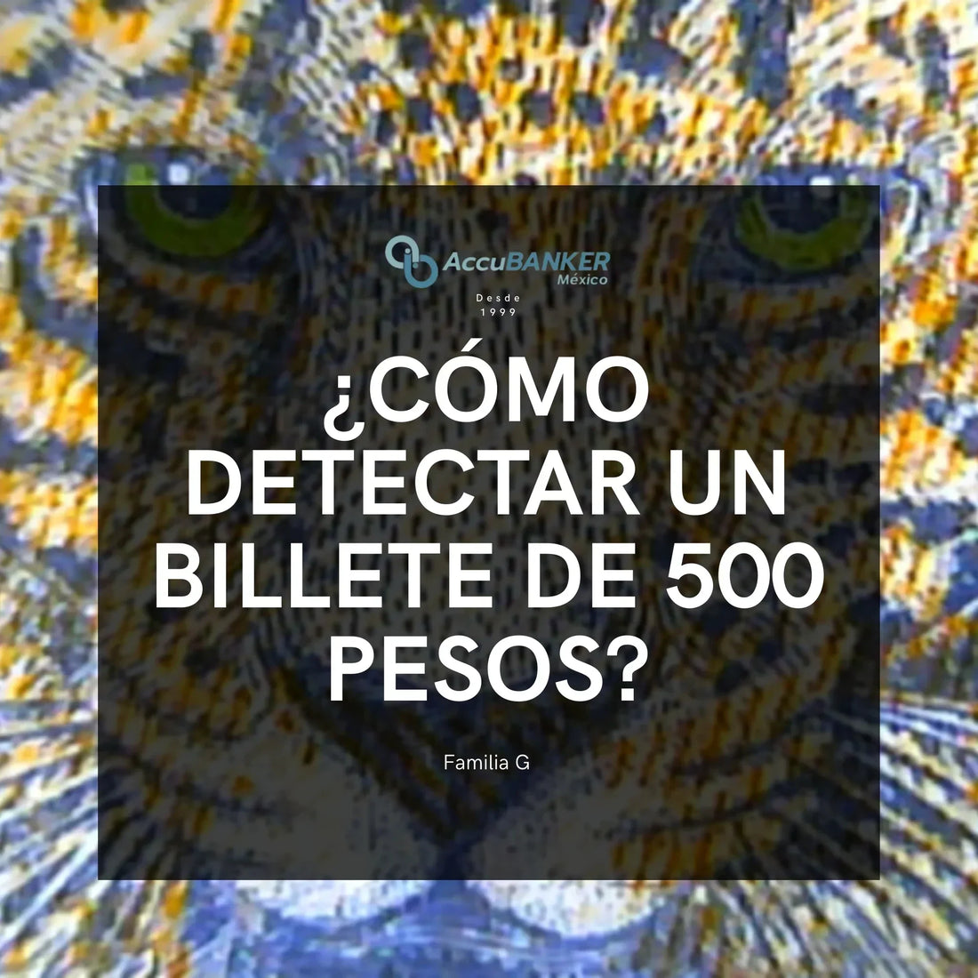 Detector de billetes falsos revisando un billete de 500 pesos (familia G) bajo luz UV.